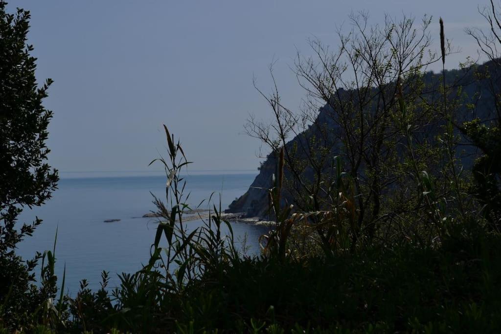Belvedere Di 安科纳 外观 照片